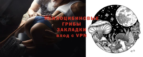 ГАЛЛЮЦИНОГЕННЫЕ ГРИБЫ Аркадак