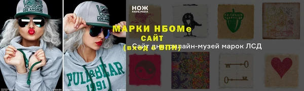 ГАЛЛЮЦИНОГЕННЫЕ ГРИБЫ Аркадак