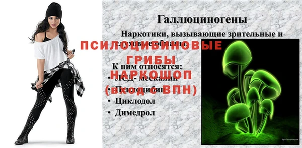каннабис Арсеньев