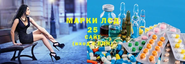 ГАЛЛЮЦИНОГЕННЫЕ ГРИБЫ Аркадак