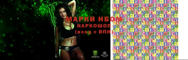 ГАЛЛЮЦИНОГЕННЫЕ ГРИБЫ Аркадак