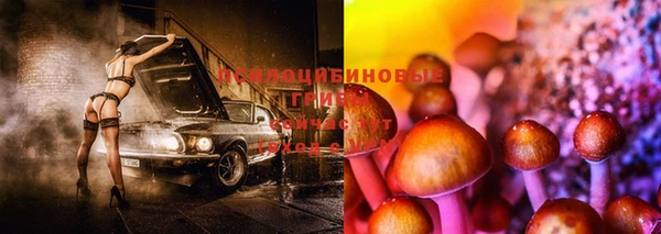 каннабис Арсеньев